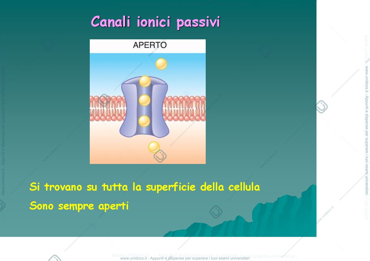 Anteprima pagina 3 — fisiologia generale