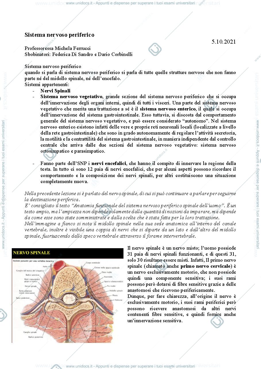 Anteprima pagina 1 — Sistemi Sensitivi neuroscienze