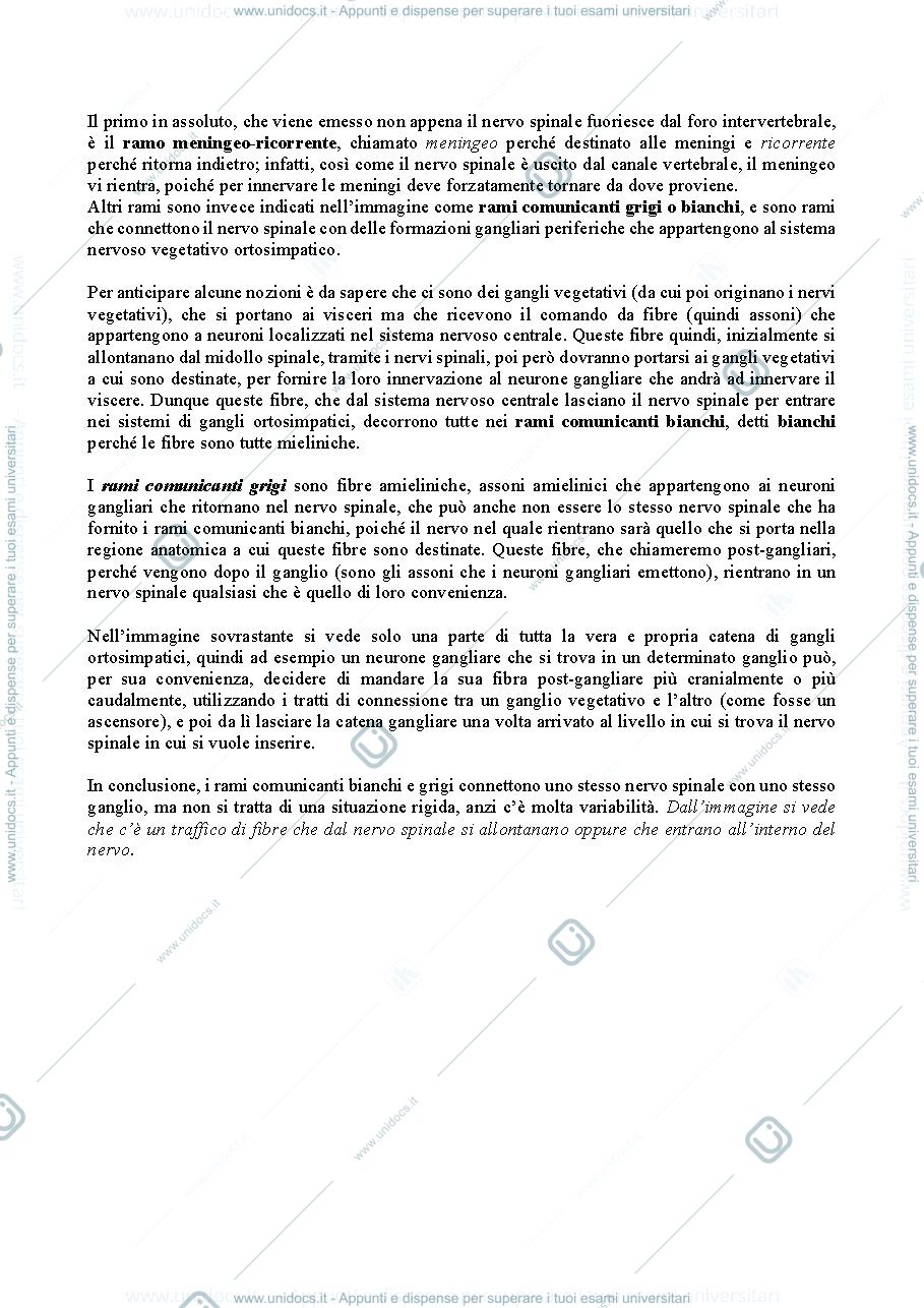 Anteprima pagina 3 — Sistemi Sensitivi neuroscienze