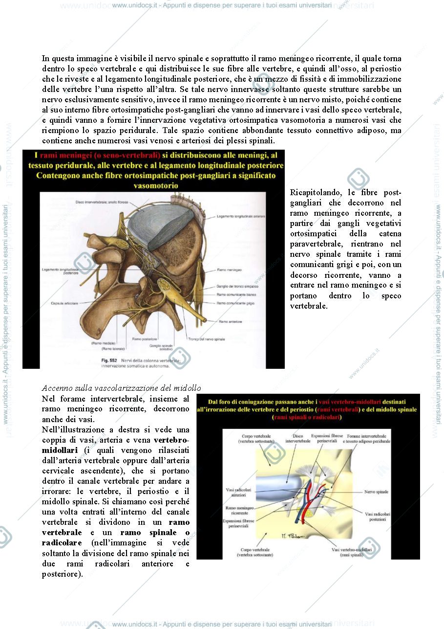 Anteprima pagina 4 — Sistemi Sensitivi neuroscienze