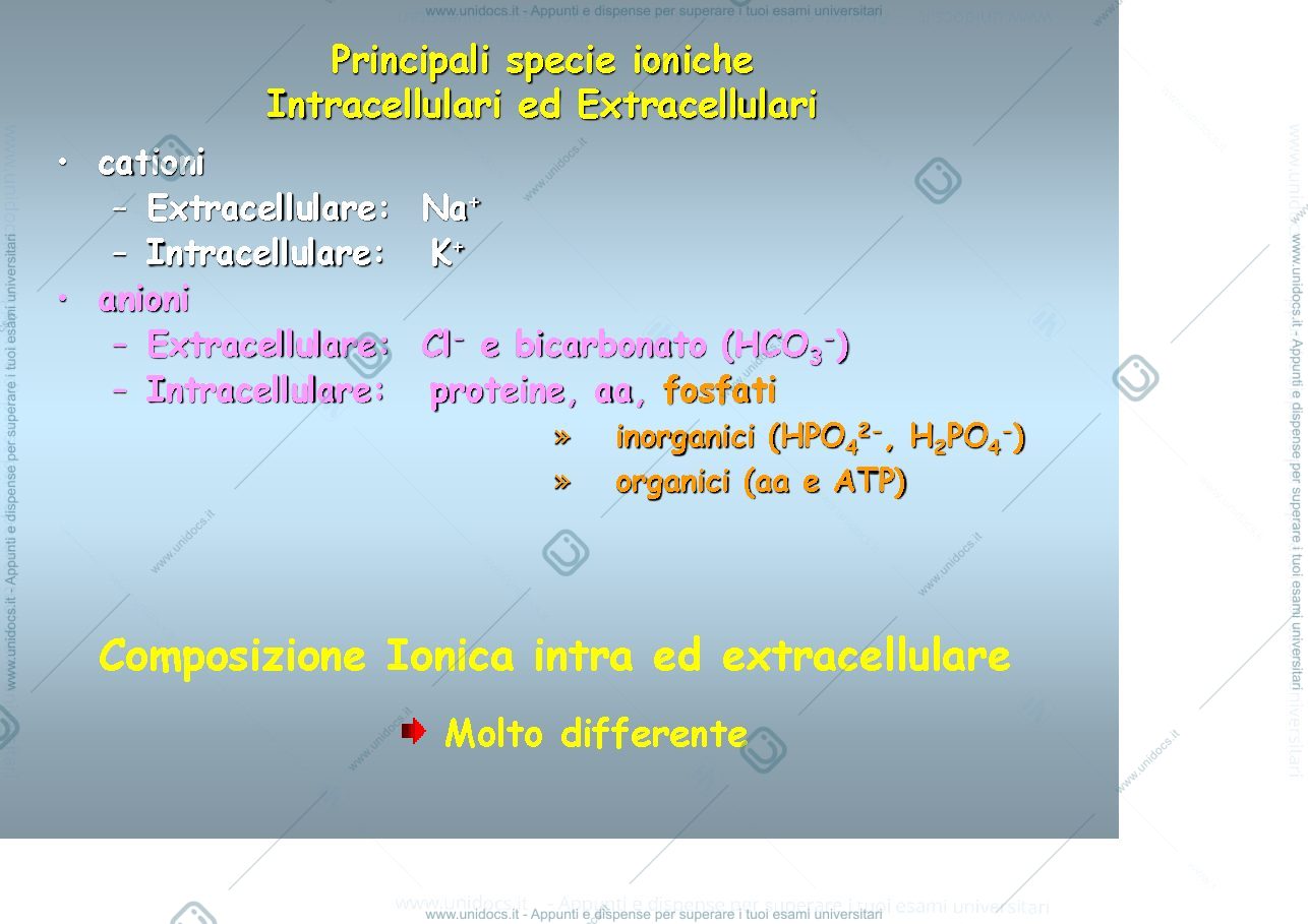 Anteprima pagina 2 — fisiologia generale