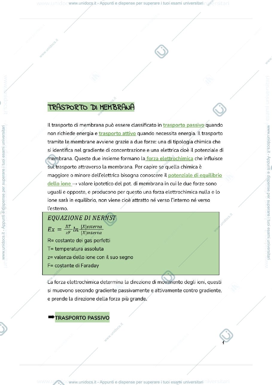 Anteprima pagina 1 — Trasporti di membrana 
