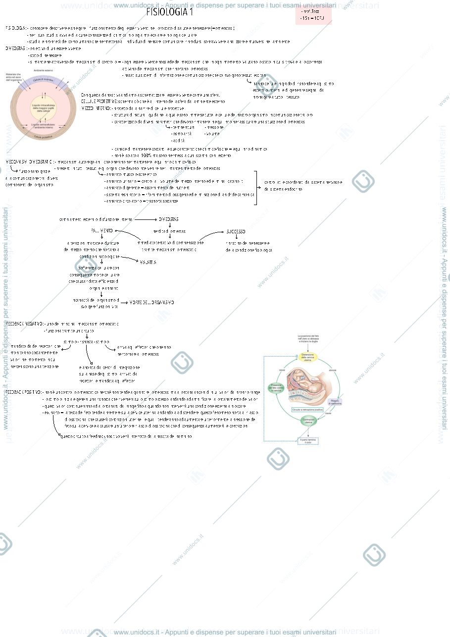 Anteprima pagina 1 — Fisiologia 1