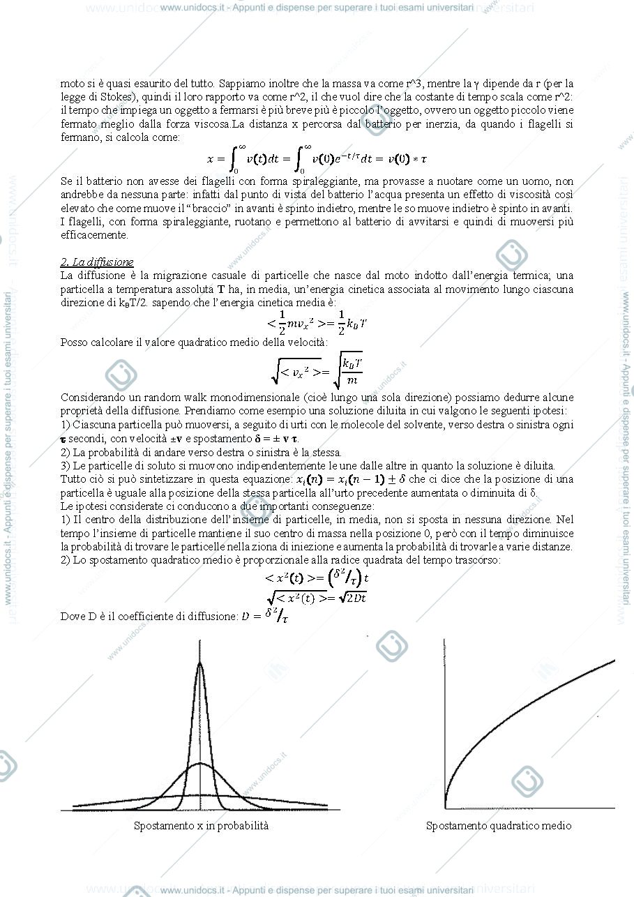 Anteprima pagina 2 — Fisiologia I 