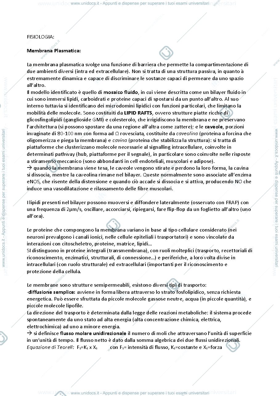 Anteprima pagina 1 — Appunti di Fisiologia integrata