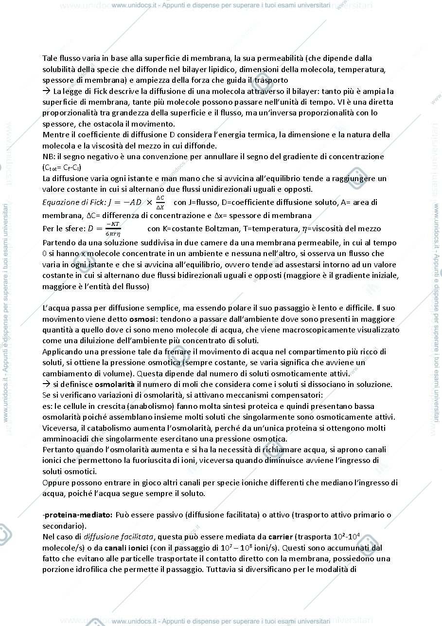 Anteprima pagina 2 — Appunti di Fisiologia integrata