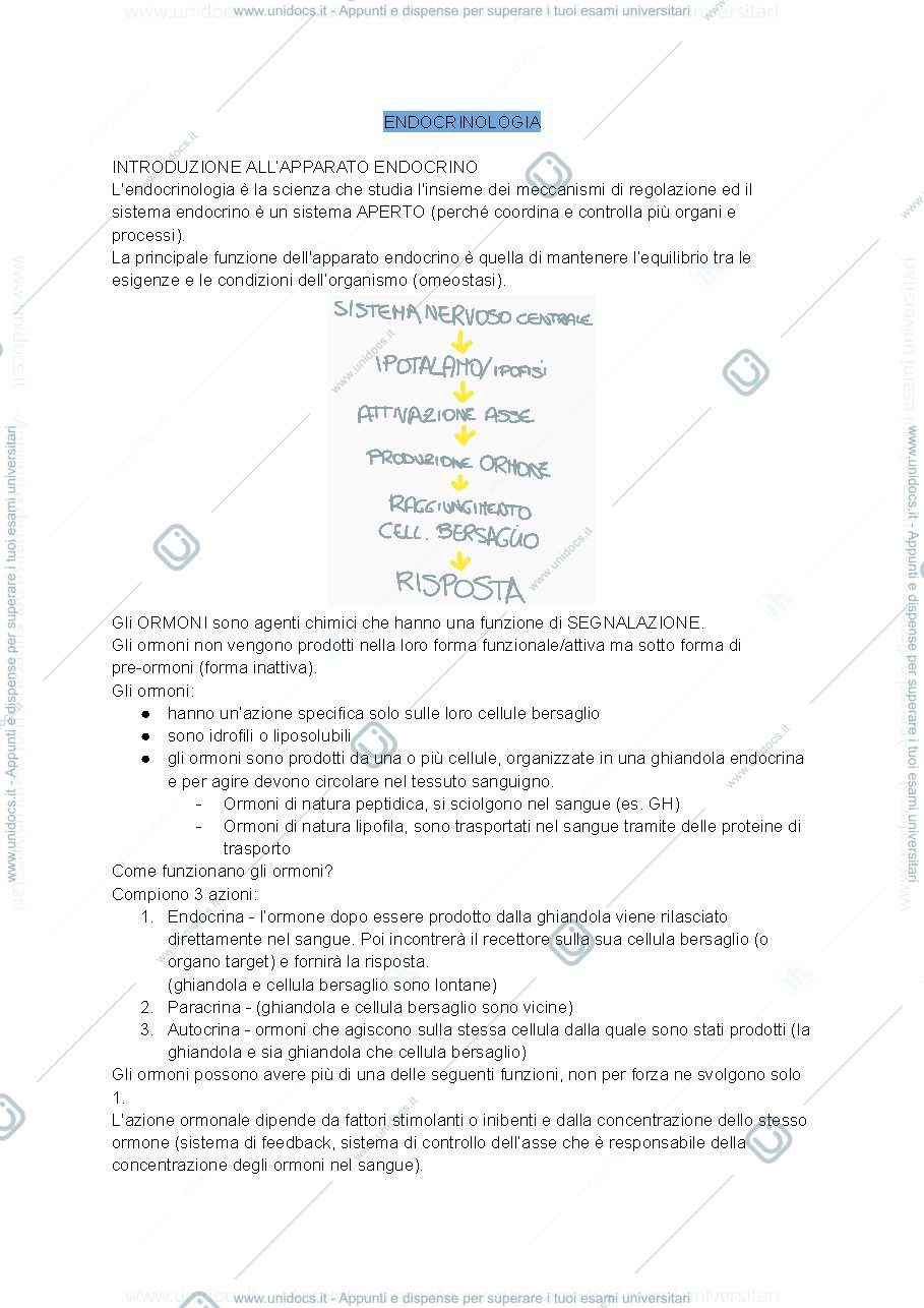 Anteprima pagina 1 — endocrinologia