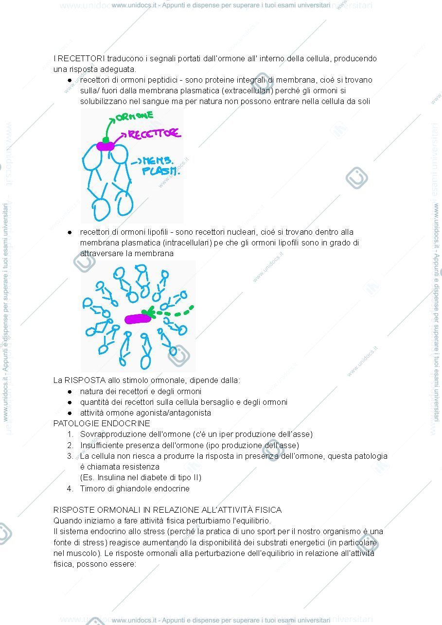Anteprima pagina 2 — endocrinologia