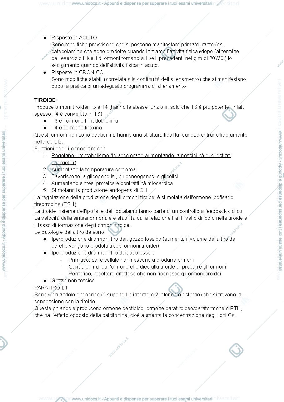Anteprima pagina 3 — endocrinologia
