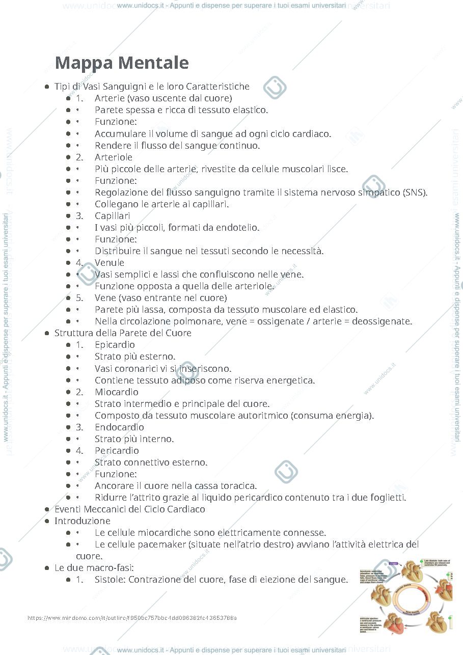 Anteprima pagina 1 — Mappa mentale di fisiologia 