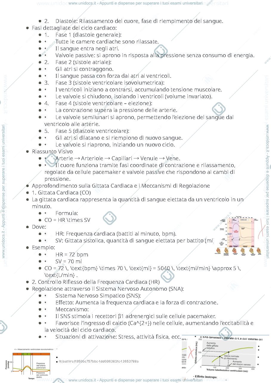 Anteprima pagina 2 — Mappa mentale di fisiologia 