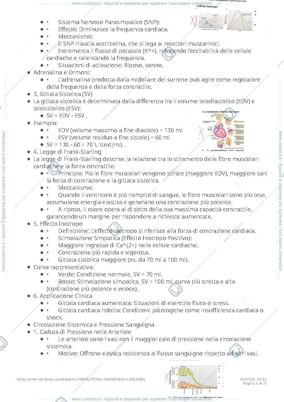 Anteprima pagina 3 — Mappa mentale di fisiologia 