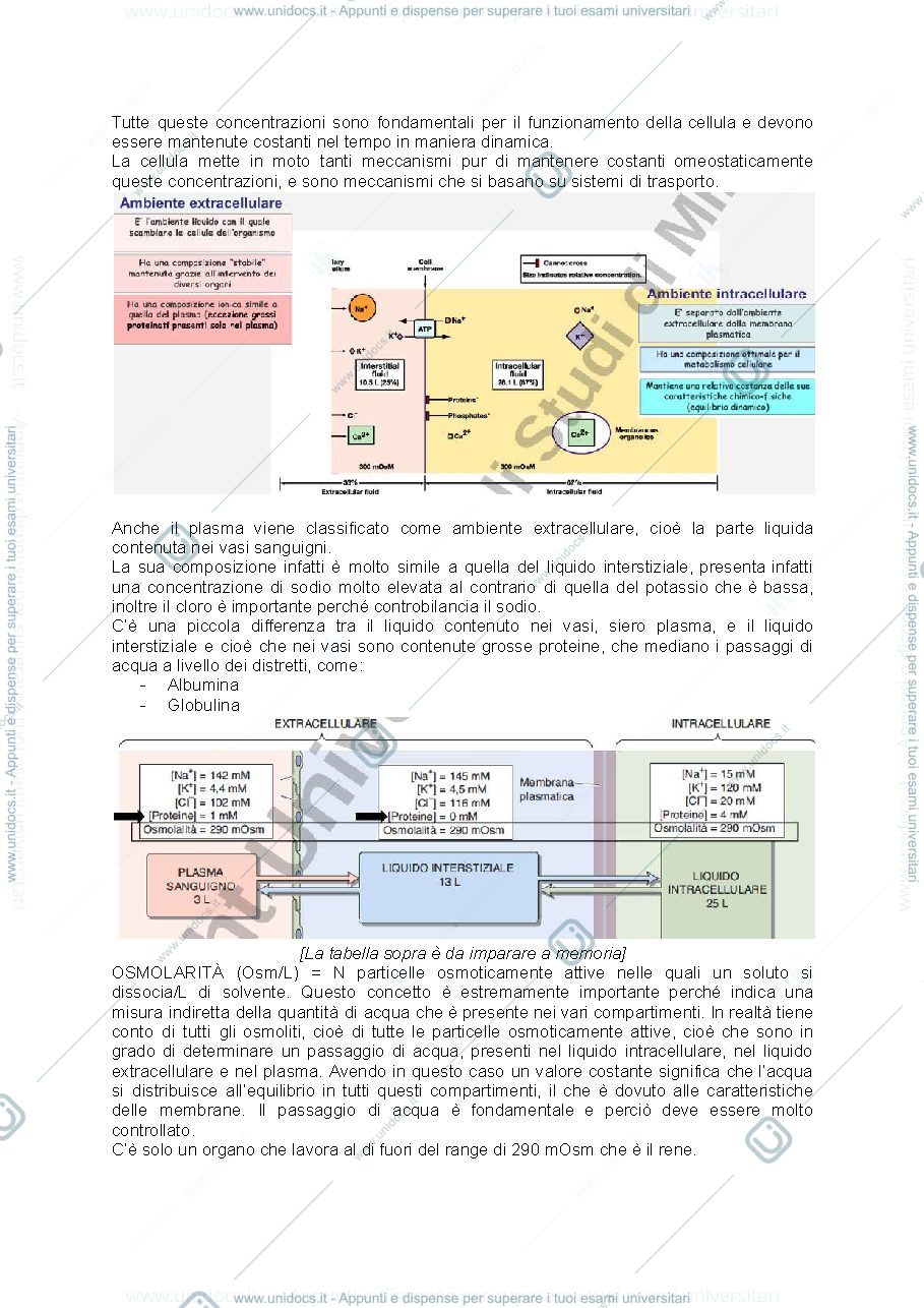 Anteprima pagina 3 — Fisiologia cellulare e istologia