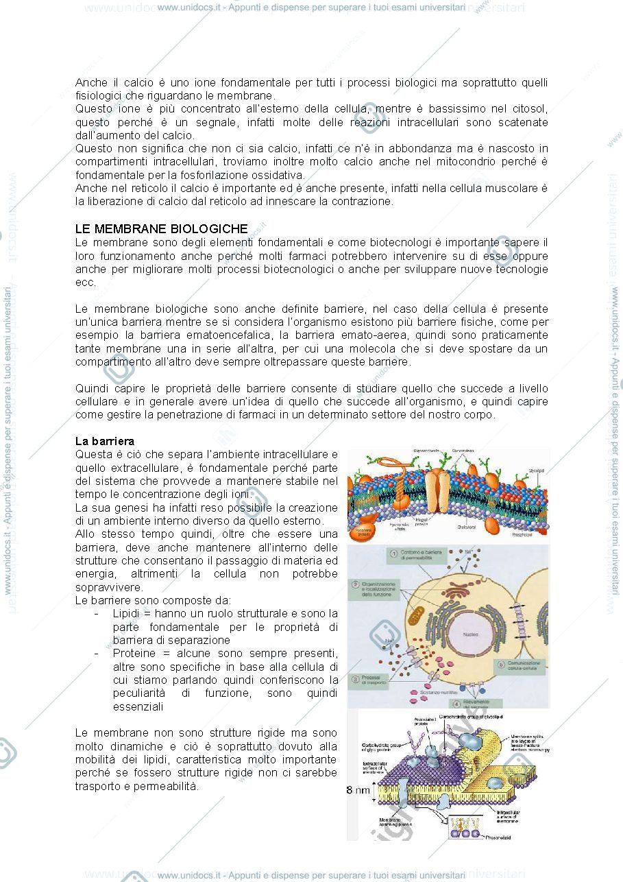 Anteprima pagina 4 — Fisiologia cellulare e istologia