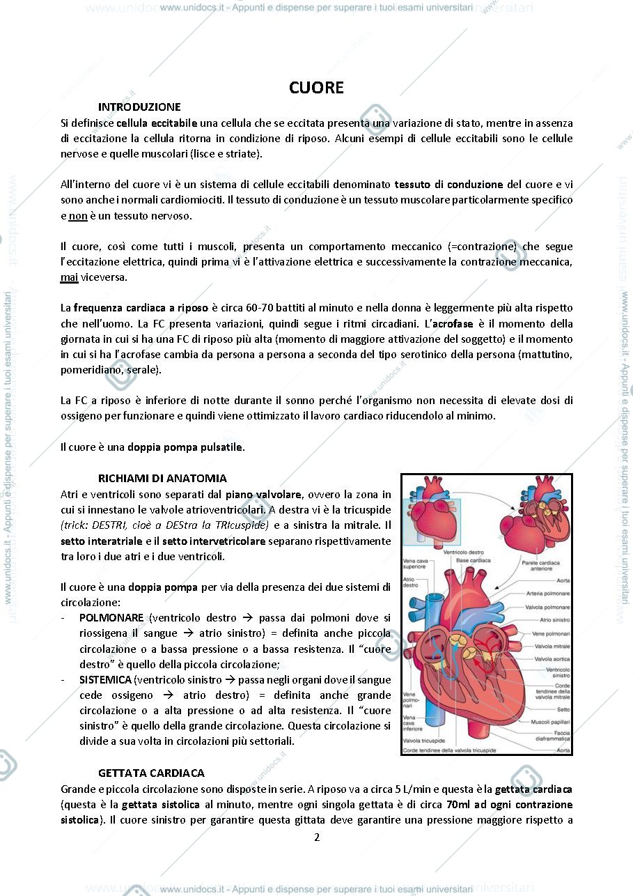 Anteprima pagina 2 — Fisiologia 2