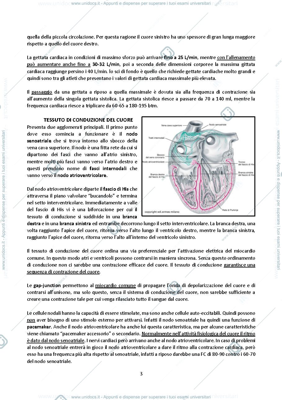 Anteprima pagina 3 — Fisiologia 2