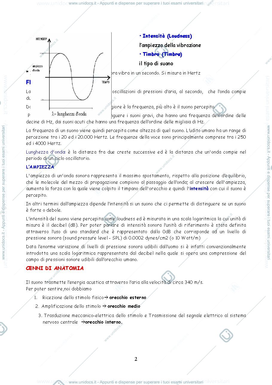 Anteprima pagina 2 — Udito
