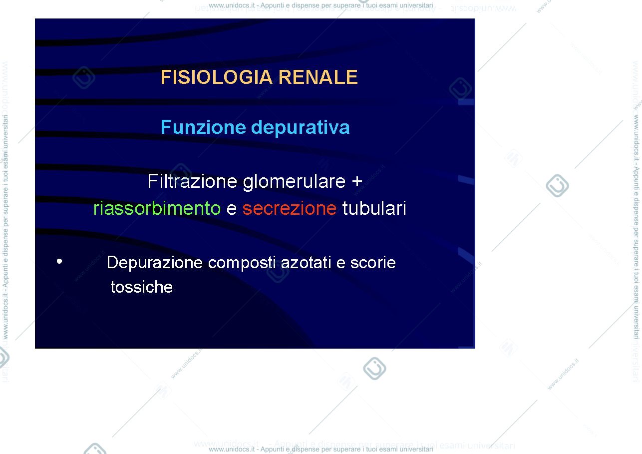 Anteprima pagina 1 — Fisiologia renale