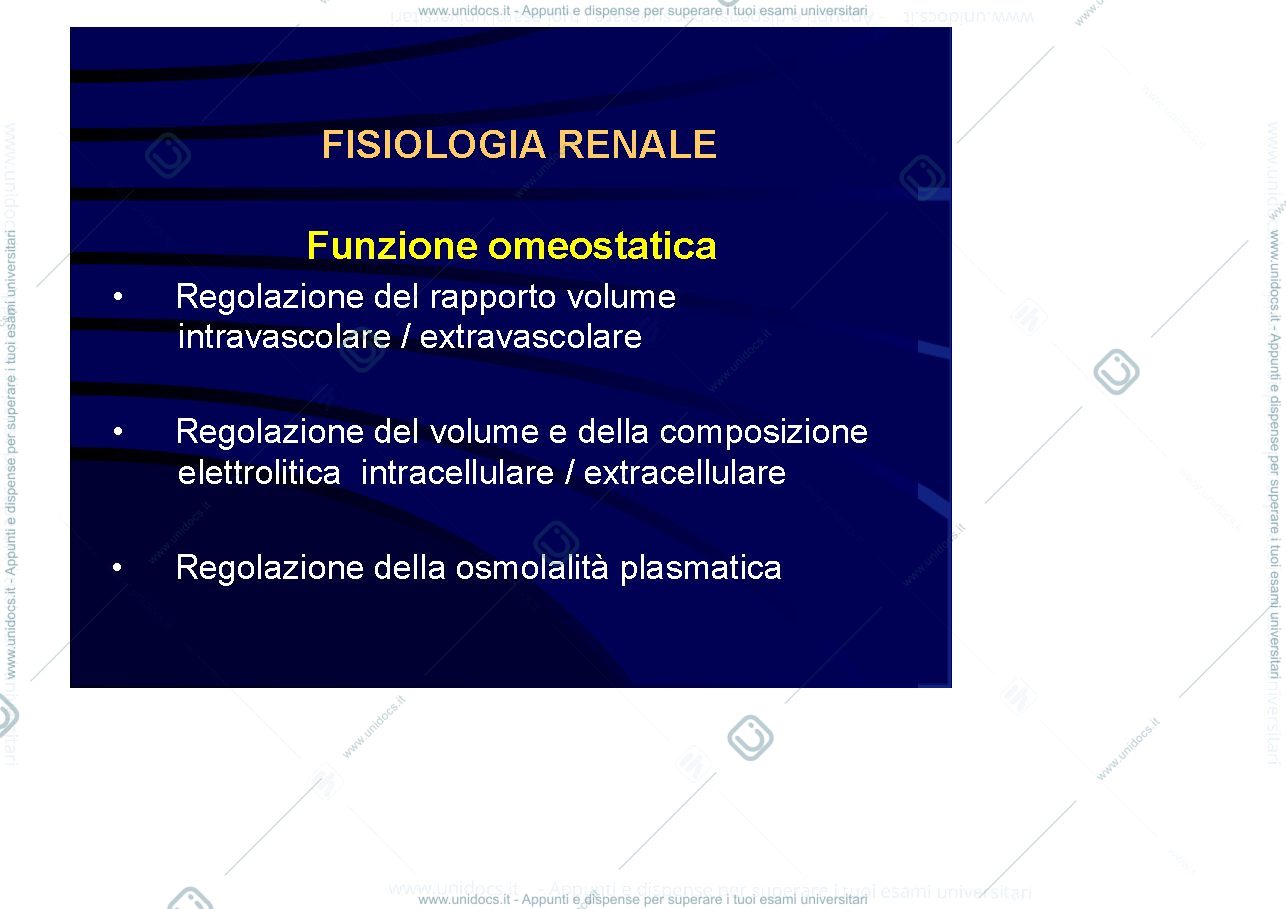 Anteprima pagina 2 — Fisiologia renale