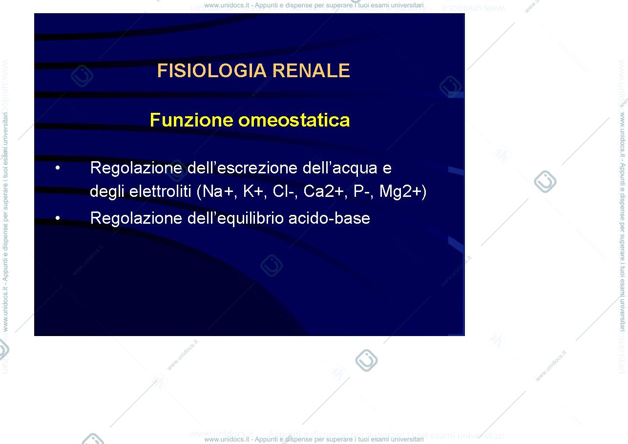 Anteprima pagina 3 — Fisiologia renale