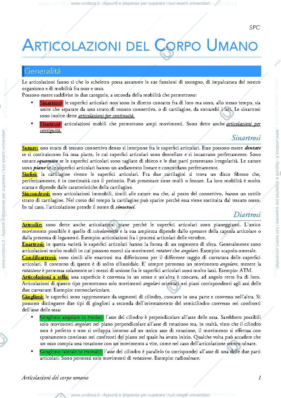Anteprima pagina 2 — articolazioni del corpo umano