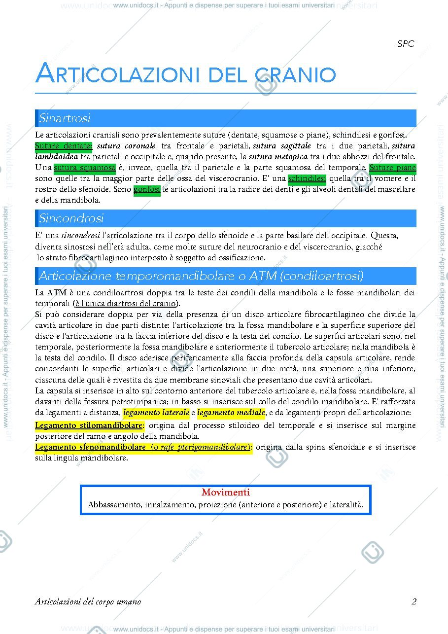 Anteprima pagina 3 — articolazioni del corpo umano