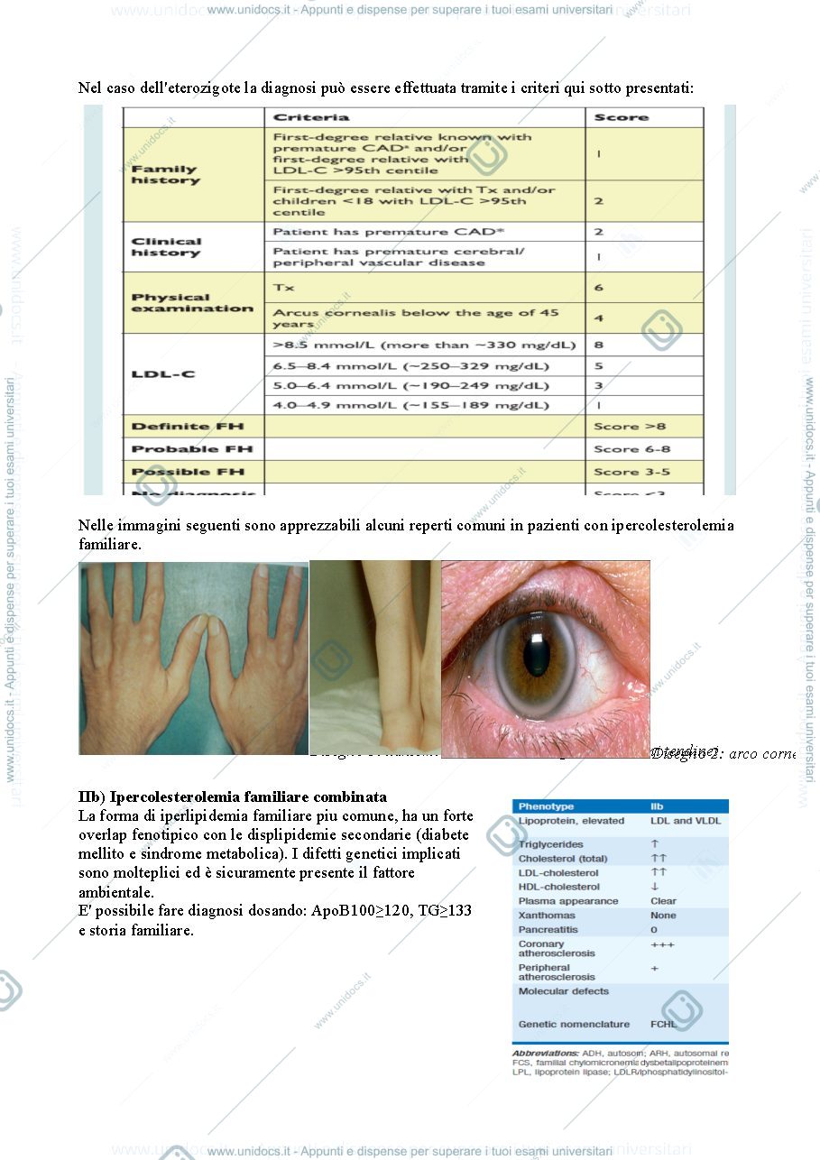 Anteprima pagina 3 — Colesterolo