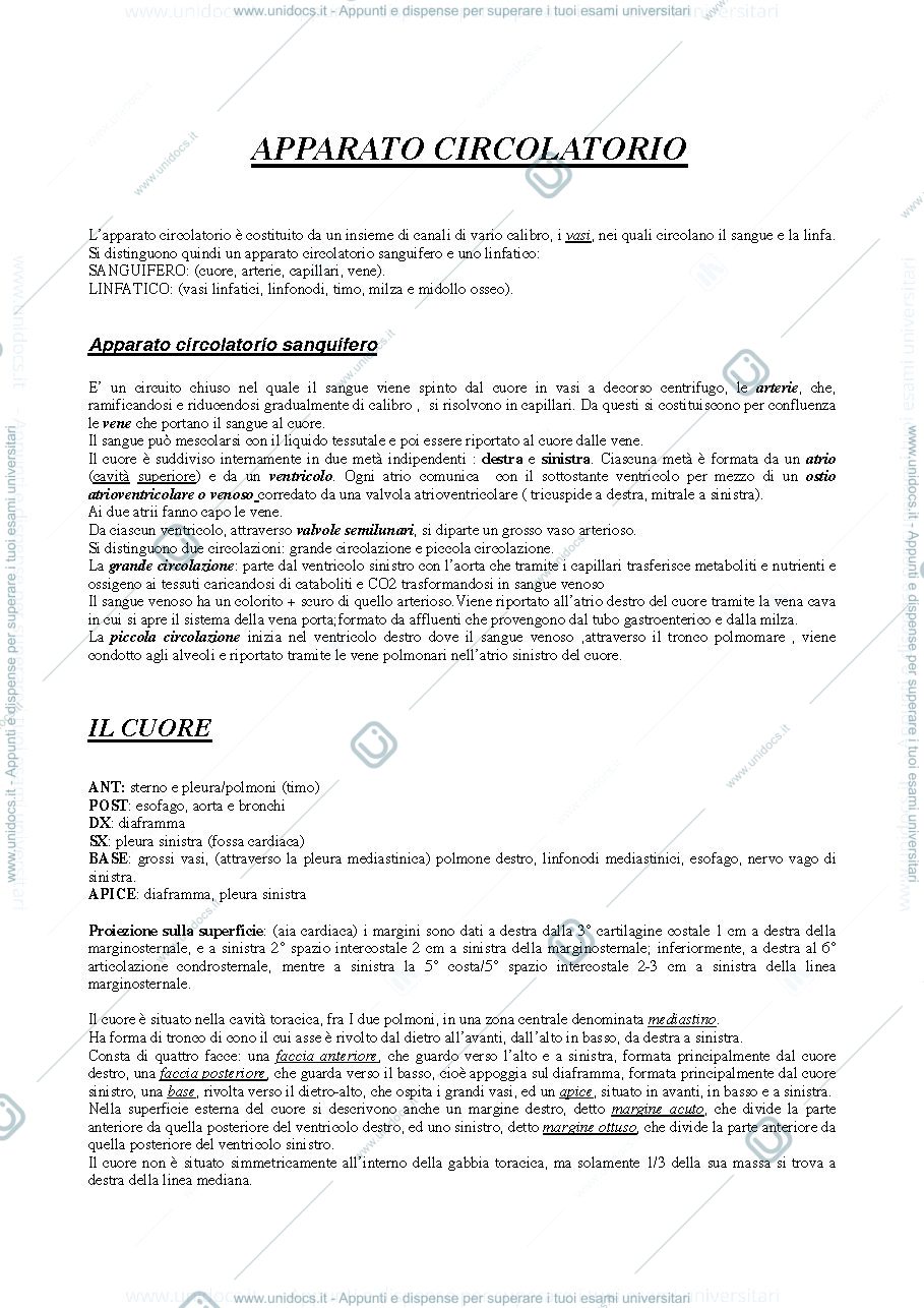 Anteprima pagina 1 — apparato circolatorio e locomotore
