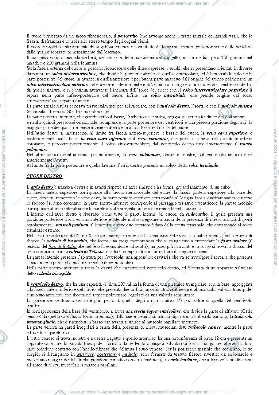 Anteprima pagina 2 — apparato circolatorio e locomotore