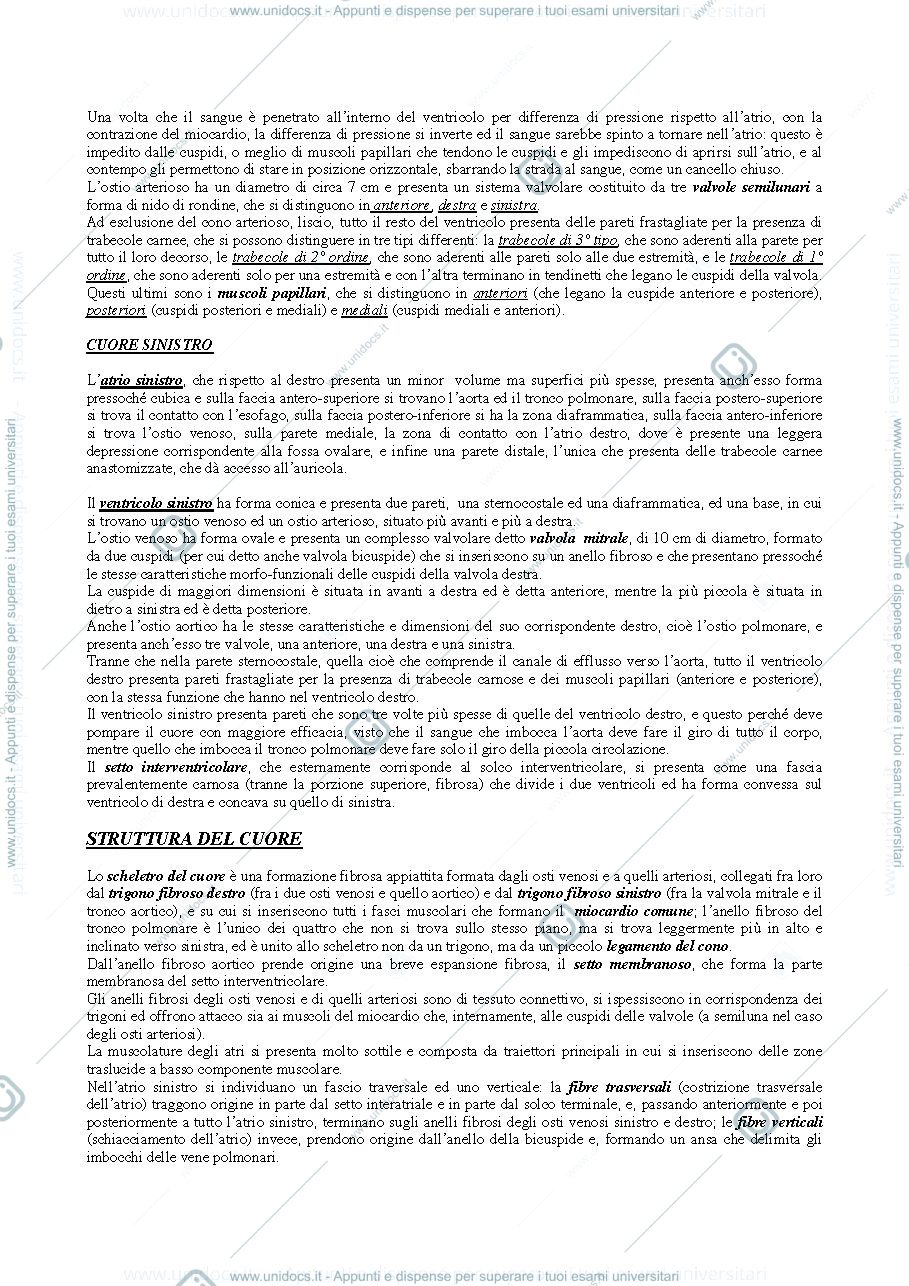 Anteprima pagina 3 — apparato circolatorio e locomotore