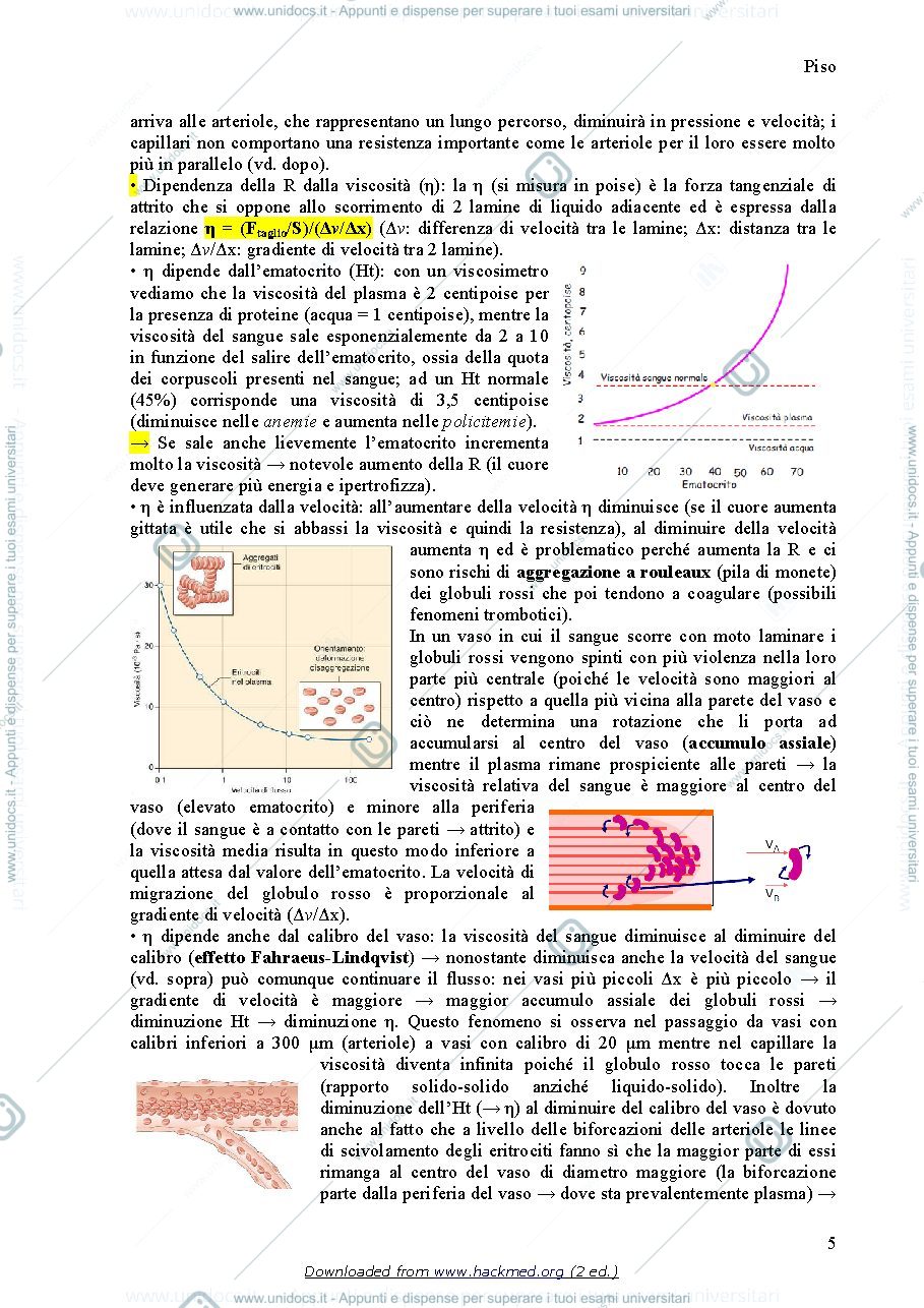 Anteprima pagina 5 — Riassunto di fisiologia