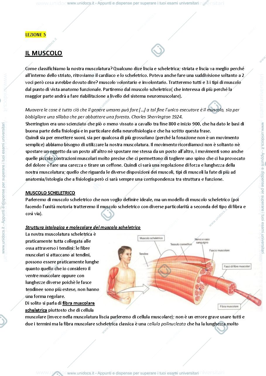 Anteprima pagina 1 — Fisiologia 5