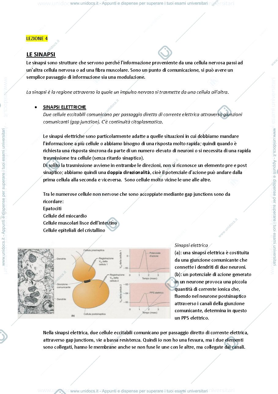 Anteprima pagina 1 — Fisiologia 4