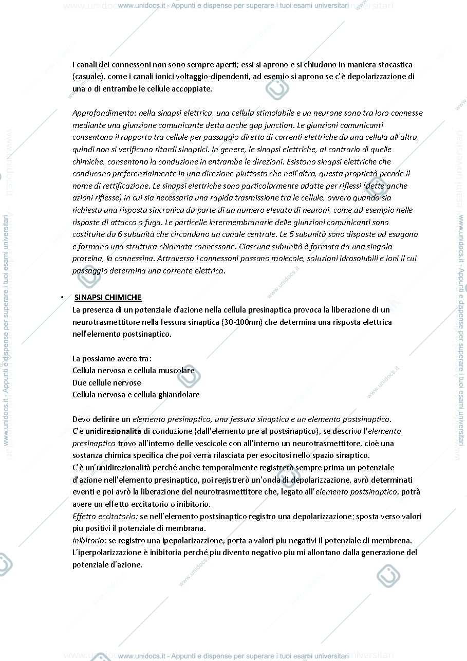 Anteprima pagina 3 — Fisiologia 4