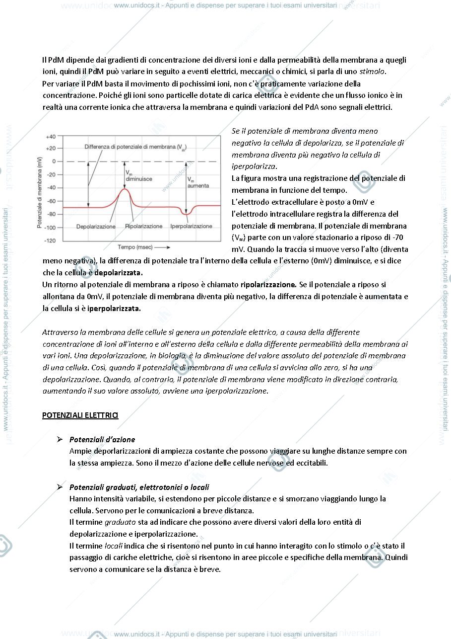 Anteprima pagina 2 — Fisiologia