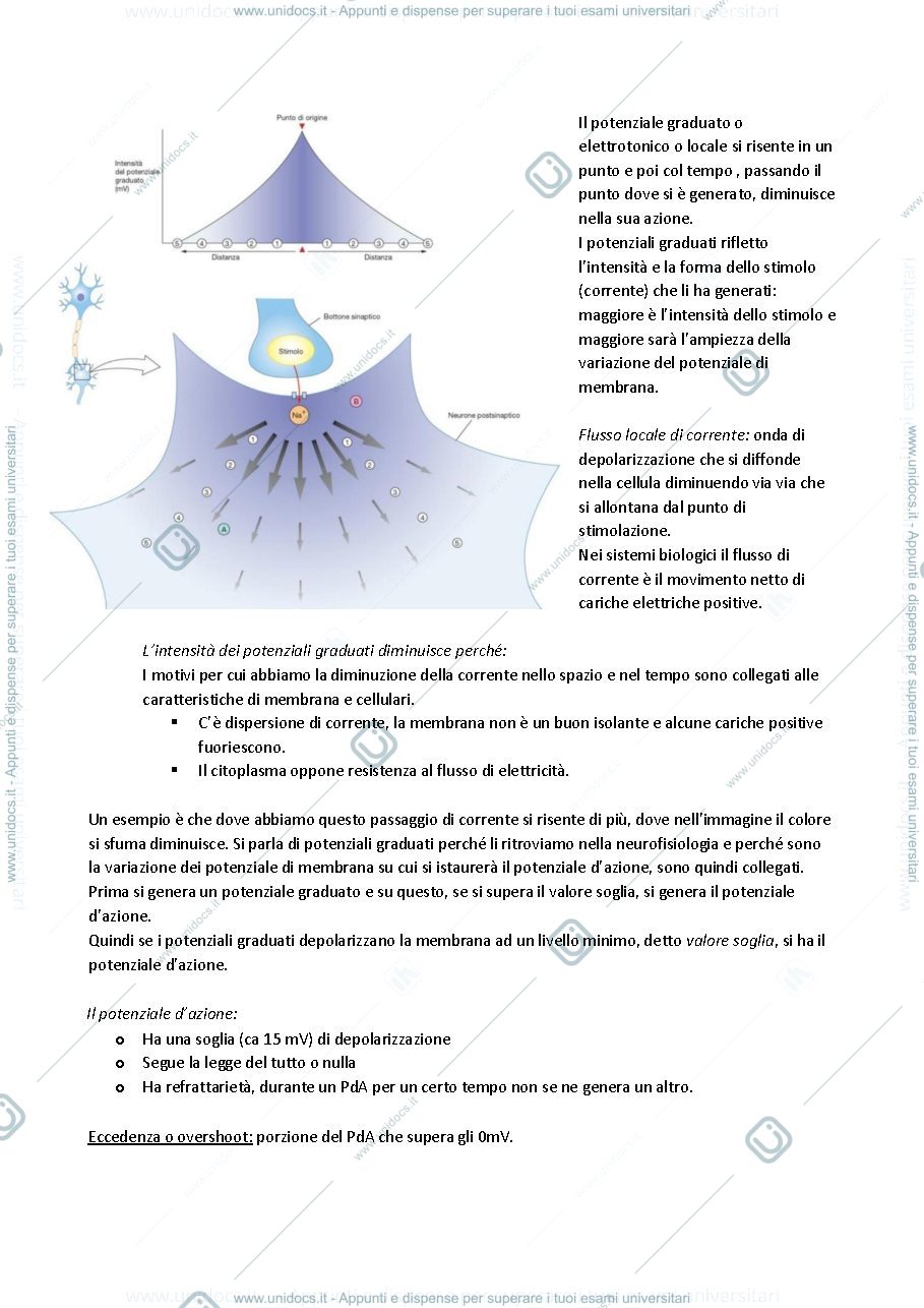 Anteprima pagina 3 — Fisiologia