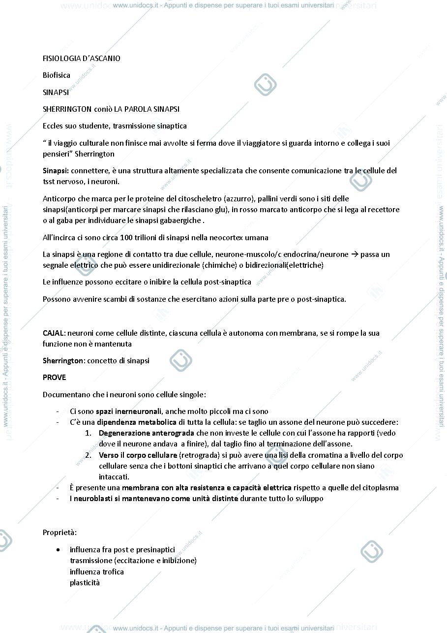 Anteprima pagina 1 — FISIOLOGIA SINAPSI