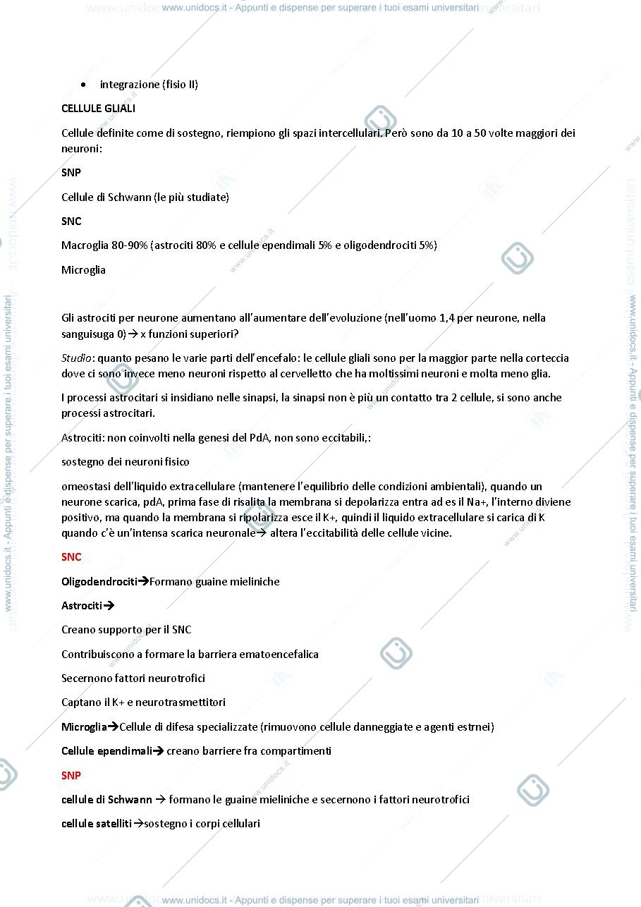 Anteprima pagina 2 — FISIOLOGIA SINAPSI