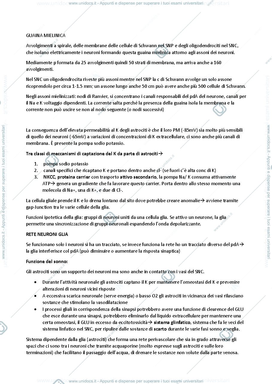 Anteprima pagina 3 — FISIOLOGIA SINAPSI