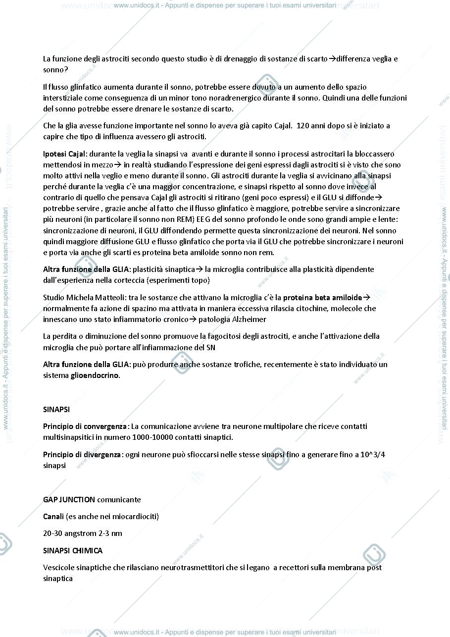 Anteprima pagina 4 — FISIOLOGIA SINAPSI