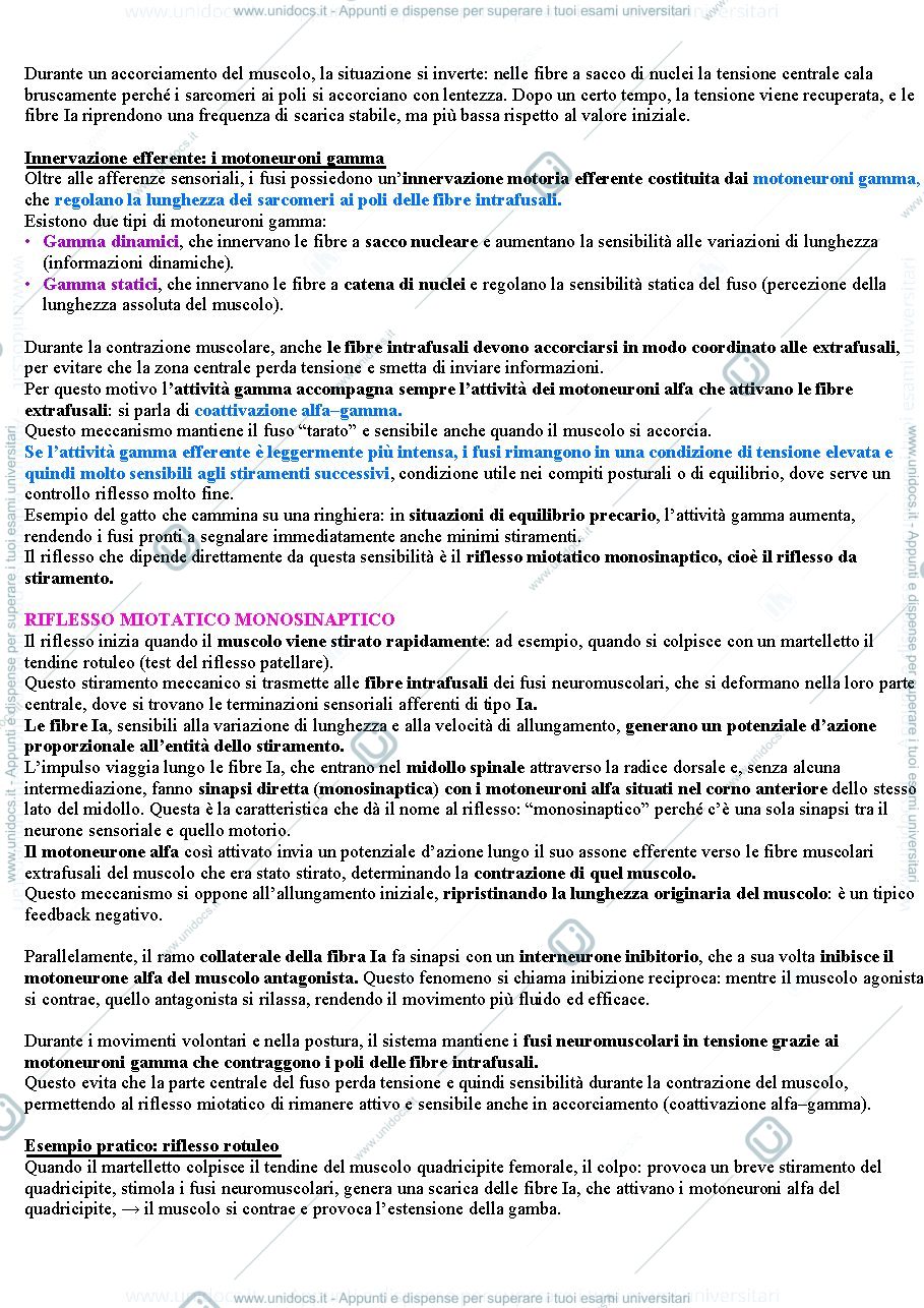 Anteprima pagina 2 — Fusi, organo del Golgi e Riflessi