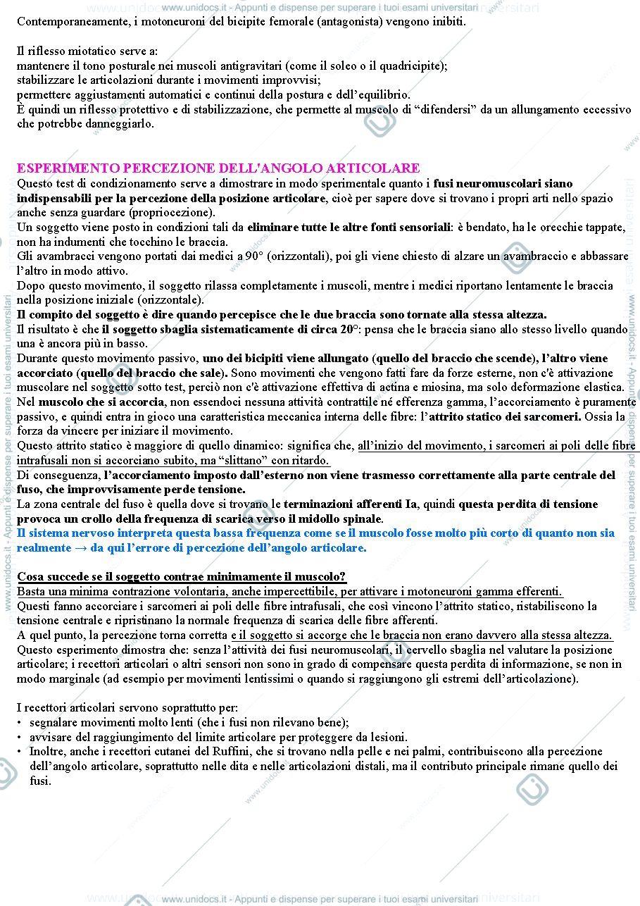 Anteprima pagina 3 — Fusi, organo del Golgi e Riflessi