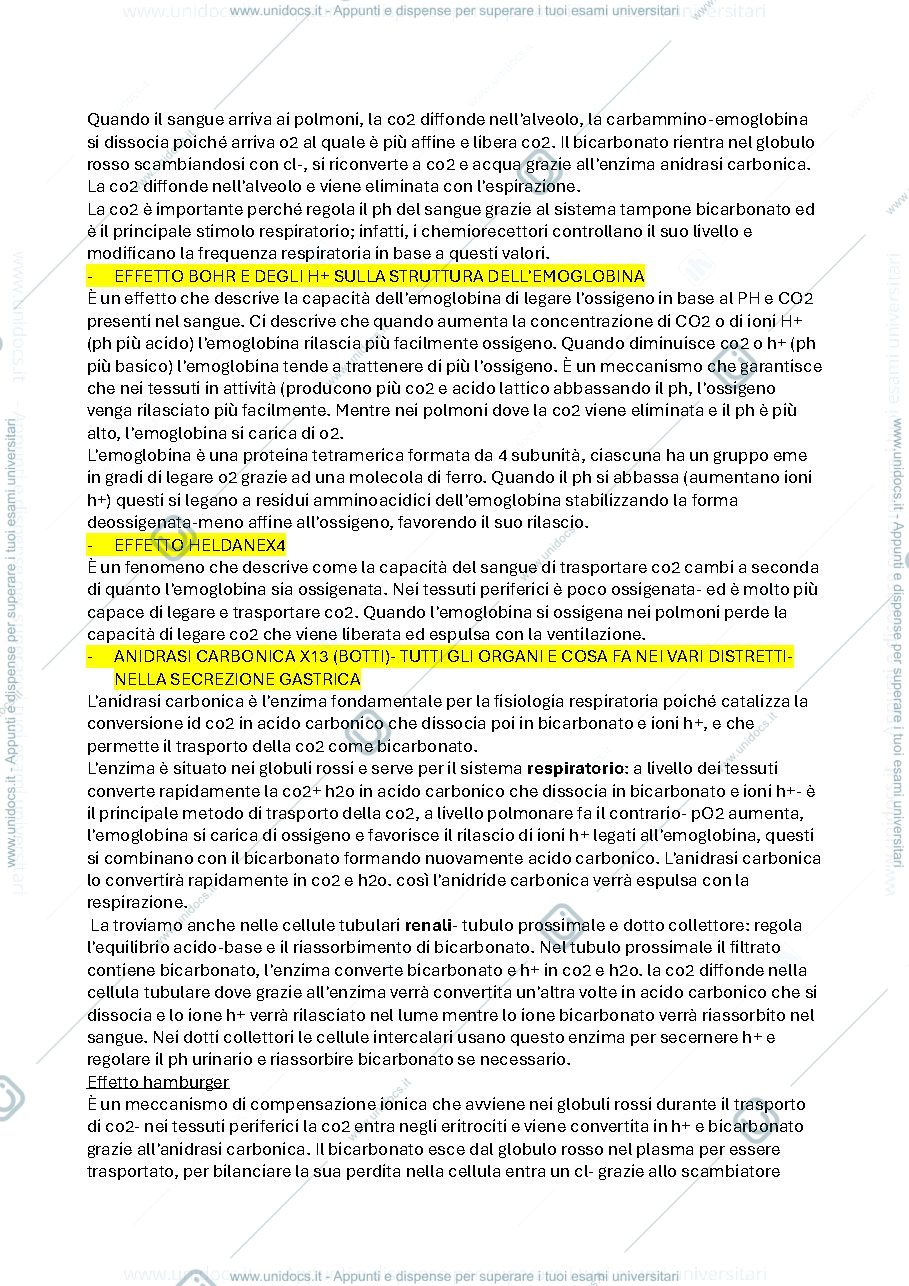 Anteprima pagina 2 — domande esame fisiologia umana- d'organo