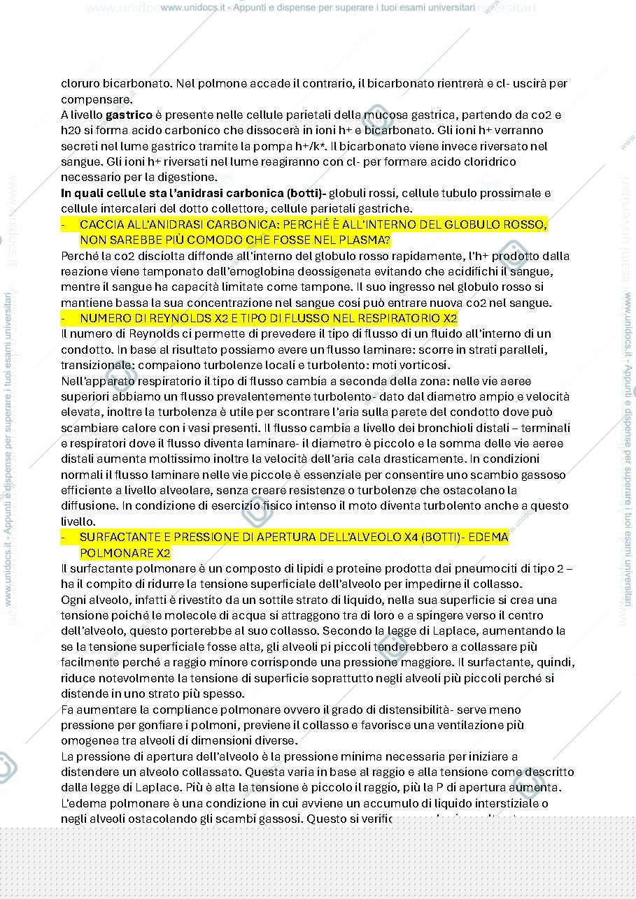 Anteprima pagina 3 — domande di fisiologia d'organo
