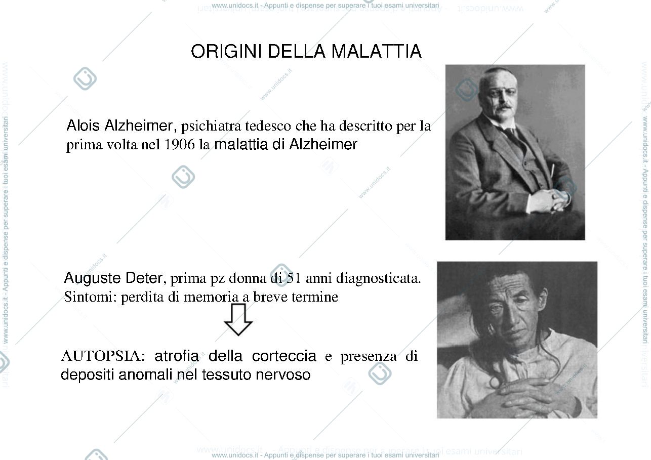 Anteprima pagina 2 — Alzheimer disease