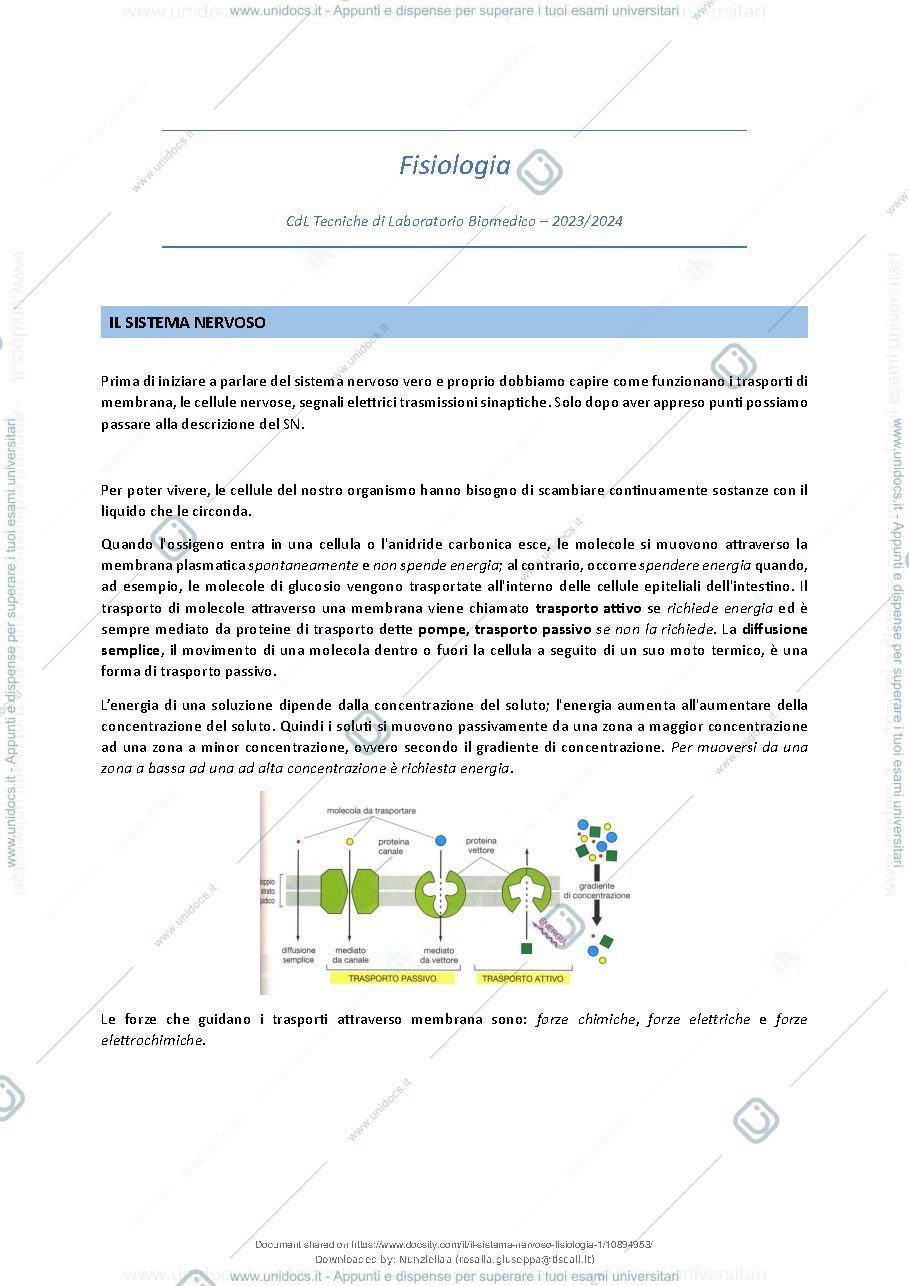 Anteprima pagina 2 — Il Sistema Nervoso - Fisiologia
