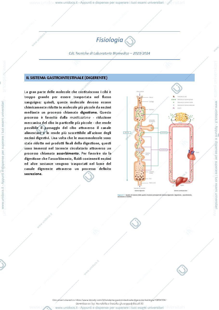 Anteprima pagina 2 — Il sistema Gastrointestinale (digerente) - Fisiologia