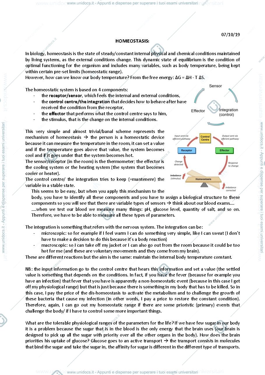 Anteprima pagina 2 — prima lezione