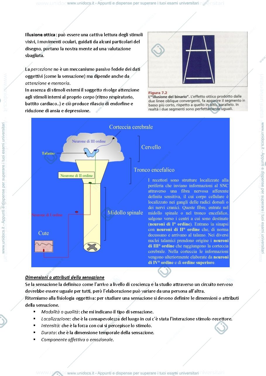 Anteprima pagina 2 — Fisiologia 8