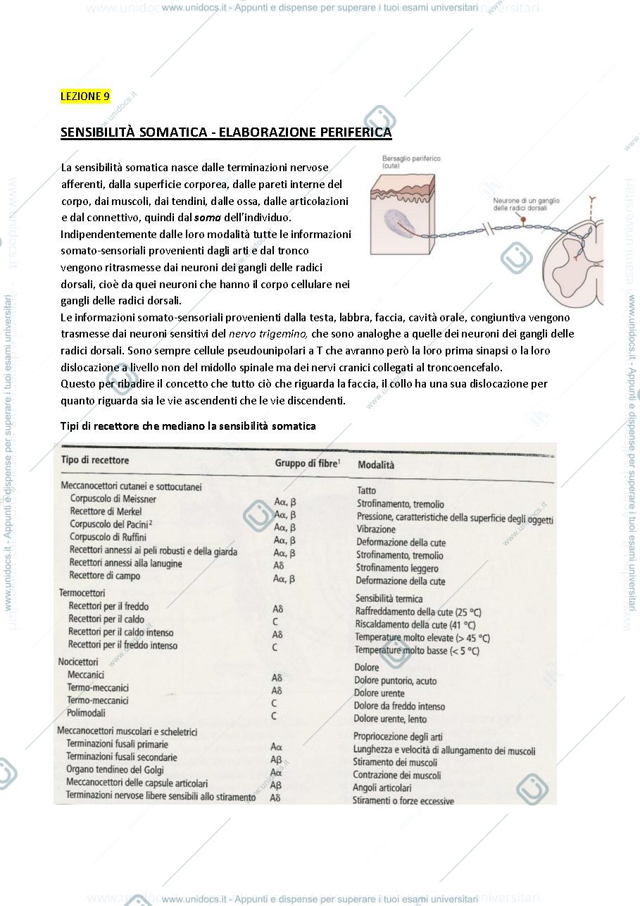 Anteprima pagina 1 — Fisiologia 9